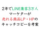 商品LPやHPの売れるキャッチコピー考案します あなたの商品の魅力やコンセプトを言語化し狙った顧客に届けます イメージ1