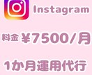 Instagram1か月運用代行いたします 忙しい方の為に私がお手伝いします イメージ1