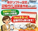 1年分まるっと記帳代行!確定申告に間に合わせます 会計ソフト設定無料！※freee・マネーフォワード限定 イメージ1
