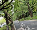 あなたの気持ちに寄り添えたらと思います ひとやすみは笑顔のメンテナス!! イメージ3