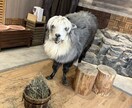 雑談・愚痴・相談なんでもお聞きします タメ口OK!なんでもご相談ください! イメージ1