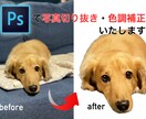 photoshopで写真の切り抜きいたします 写真を可愛く切り抜き・色調補正いたします！ イメージ1