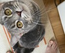 気軽にご相談を聴き寄り添います 今までの経験から何か伝えられればと思います⭐️ イメージ1