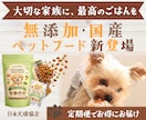 パッと見て行動に移すWEB画像を作成します 集客・売上UP！WEB画像を制作します イメージ3