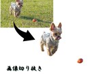画像切り抜きいたします 何かと面倒な切り抜き画像作成します イメージ1
