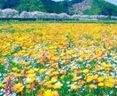 あなたの気持ちなんでも聞きます 誰かに聞いて欲しい、考えを整理したい方へ イメージ1
