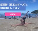初心者歓迎★縦開脚を目指す！基礎レッスンします 必要な筋肉に絞って集中レッスン イメージ1