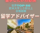 海外の大学に留学したい方必須！　相談のります ヨーロッパの進学校に通う大学生　自分の道を切り拓こう！ イメージ1