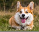 何でもお話聞きます 溜めないで思ってること全部話してください！ イメージ2