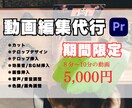 企画、撮影が大事。YouTube動画編集します 視聴維持率の高い動画をお求めの方へ イメージ1