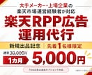 楽天RPP広告を利益重視で運用代行します 大手メーカー・上場企業の楽天運営経験者がRPP広告を改善 イメージ1