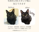写真・イラストをLINEスタンプ用に加工します 背景透過・文字入れ・サイズ調整まで丁寧に対応します イメージ2