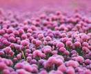 恋愛成就鑑定／これからのご縁を結びます ✿あの人の特別になる✿ 可能性/相性/時期/遠距離 イメージ8