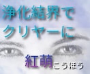浄化結界で心身（内部情報)をクリアーにします 負のエネルギーに繋がった心身をクリアーにし、結界を張ります。 イメージ3