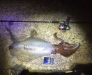 実績あり！釣り針の結び方、趣味漁師が直伝します 漁師の世界は企業秘密。だからこそ価値がある。 イメージ10