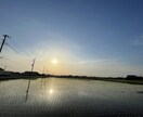 あなたのご両親の状況を確認します 離れて暮らしているご両親の状況をご報告します イメージ1