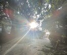 来年の運気と心の流れをタロットで読み解きます 迷わず一年を選び取るための運気リーディング✨ イメージ1