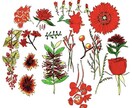 さまざまな用途に向けてのイラストをお描きします 手描きスタイルで温かみのある絵を目指しています。 イメージ4