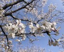40〜60代の女性の方、お話しを傾聴いたします 中高年だって悩みがいっぱい！1分だけでもOK、話して発散⭐︎ イメージ4