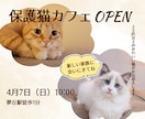 SNSや広告に使えるバナーを制作しますます 想いが伝わる、目を引くデザインを丁寧に制作します。 イメージ1