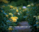 字幕動画(YouTube・TikTok)作成します 時間・土日祝日関係なく対応いたします！ イメージ2