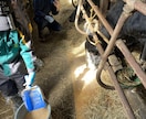 生産者目線で皆様の疑問にお答えします 毎日食べる体験をしている皆さまの食卓が豊かになりますに。 イメージ7