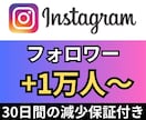 インスタグラムのフォロワー+1万人～増やします 【格安水準✨】インスタフォロワー＋1万～増やします イメージ1