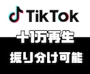 TikTokの再生数を＋1万回増加させます 【いいね等オプションあり】【少量注文も対応】【再生回数増加】 イメージ1