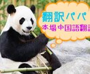 学校では教われない！『翻訳パパ』が中国語添削します 【翻訳・通訳実務経験３６年】翻訳パパの本場中国語の翻訳/添削 イメージ1