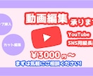 YouTube用、SNS用等の動画編集します 依頼者様のご希望通りに制作いたします！ イメージ1