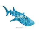 くじら、シャチ、魚類等のイラスト描きます 水生生物の絵を描くのが得意です★他サイト様でも販売実績あり★ イメージ3