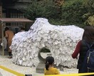 京都のSNS映えする場所、物、撮影します SNS映えする場所、物の撮影代行致します！ イメージ3