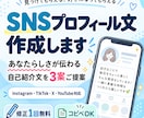 SNSプロフィール文を作成します あなたらしさが伝わる自己紹介文を3案ご提案 イメージ1