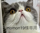 momon19様専用(1500円)ます momon19様専用(1500円) イメージ1