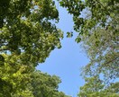 どんなお話でもお聞きします なんでも聴かせてほしい、あなたのこと！ イメージ2