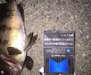 初めての海のルアーフィッシング優しく教えます 海のルアー始めたい！でも何を準備すれば…優しく教えます！ イメージ5