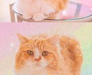 ペットの写真を絵画風にしアイコン作成します 【特別価格】お写真を絵画風に加工しアイコンを作成致します！ イメージ4