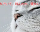 透視・霊視・チャネリングで1番知りたいもの、視ます 映像で浮かぶ情景、言葉、気持ちをそのまま伝えるスタイルです。 イメージ5