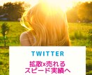 2週間ツイッター集客＆収益アップのコンサルします SNSマーケティング・フォロワー数アップで徹底サポート イメージ1