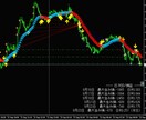 日次最大DD＆日利みえる化パネルで記録・表示します チャートの右下に「今日のリスクと成績」を見たい時だけ表示 イメージ2