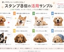 写真からペットのLINEスタンプを作成します 大切なうちの子を世界にひとつのスタンプに イメージ8