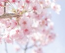 心理学を学んだNo.1キャバ嬢が電話で癒します 誰かと話したいとき、疲れたとき、優しく寄り添います イメージ2