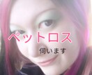 ペットロスの悲しみ伺います 大切な家族がいない辛いお気持ち伺います。 イメージ1