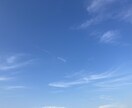 児童期の発達障害等に関する相談に心から寄り添います ASD/ADHD/特別支援学校/支援級/場面緘黙など イメージ5