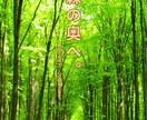 幻想的な世界観シリーズポスターを制作します 物語性のある幻想的ビジュアルデザイン イメージ10