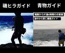 磯ヒラスズキ・青物・クエ「釣り方のコツ」教えます ～約1000名に教えた現役「磯プロガイド」が全力で答えます～ イメージ4