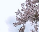貴方を支えます あなたが笑顔になれますように。 イメージ1