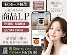 ECのプロが構成から商品画像を制作します 【初回限定価格】構成～デザインまで一貫対応 イメージ1