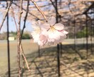 30分通話。否定せず、安心できる時間を届けます 一緒に色々話そうね！自分自身が経験してきた事があるよ！ イメージ1