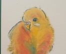 大切なペットをやさしい手描きイラストにします いつもの可愛い姿を、手描きの一枚に残しませんか？ イメージ3